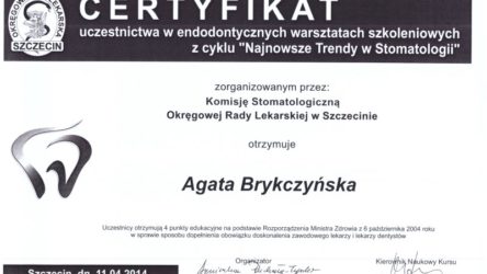 dr Agata Brykczyńska 11