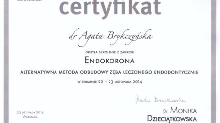 dr Agata Brykczyńska 15